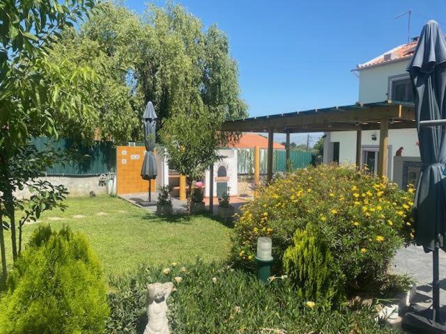 Apartmán Casa Almenara Quinta do Anjo Exteriér fotografie